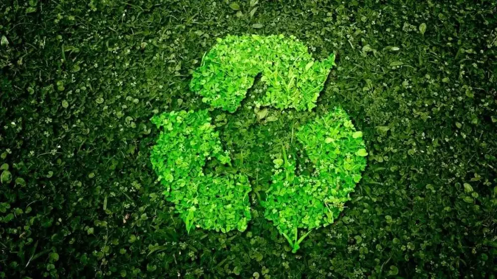 Símbolo da reciclagem formado por folhagem verde